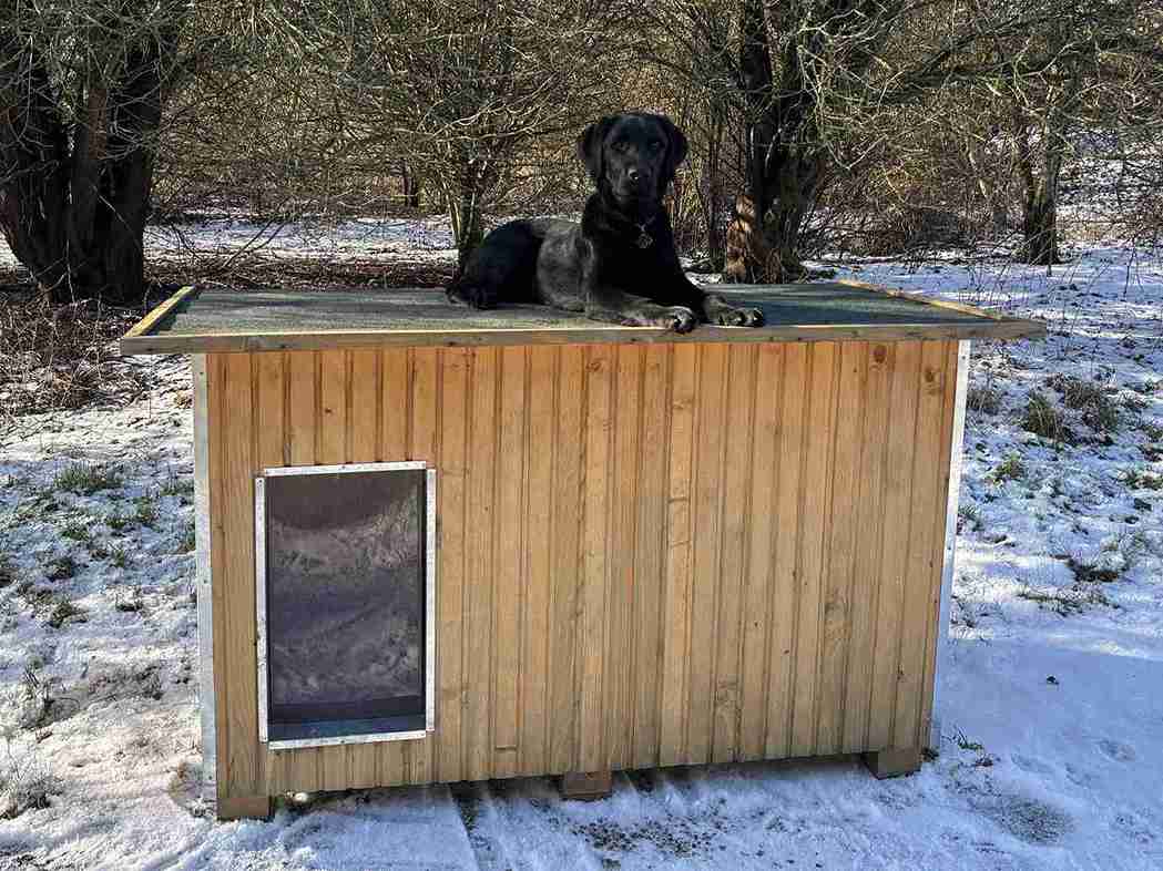 Zwarte hond rust uit bovenop een hondenhok in een winterlandschap.