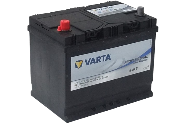 Accu van het merk VARTA voor schrikdraadapparaat met een rode pluspool en een grijze minpool. De accu heeft het etiket "VARTA PROFESSIONAL Dual Purpose" en is ontworpen voor energievoorziening.