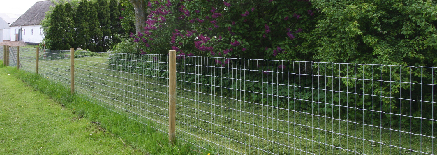 blok Excursie Bridge pier Afrastering gaas voor om de tuin