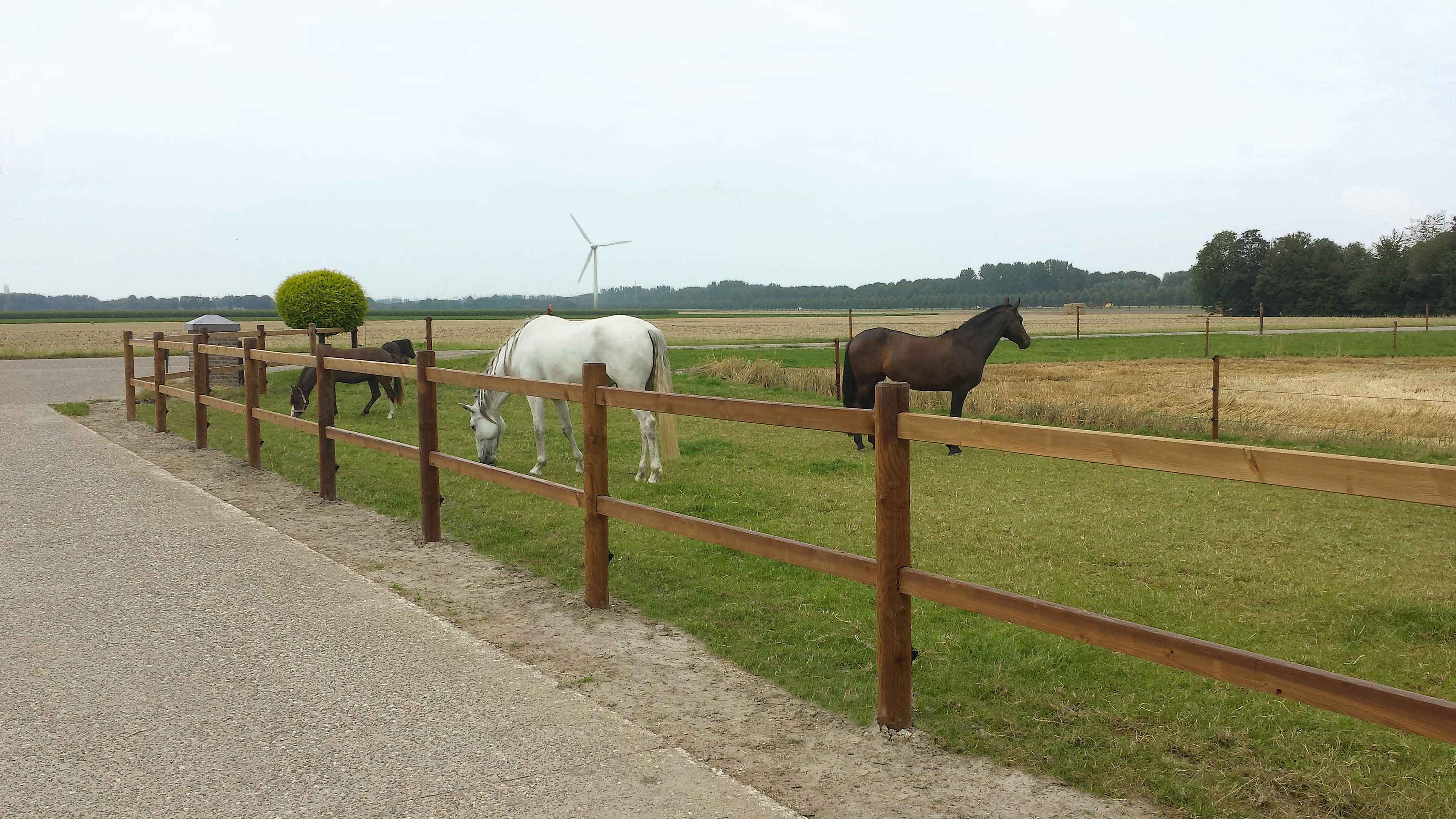 Drie paarden staan in een paddock naast een weg. Een Colorado houten paardenhek houdt de paarden binnen de paddock.