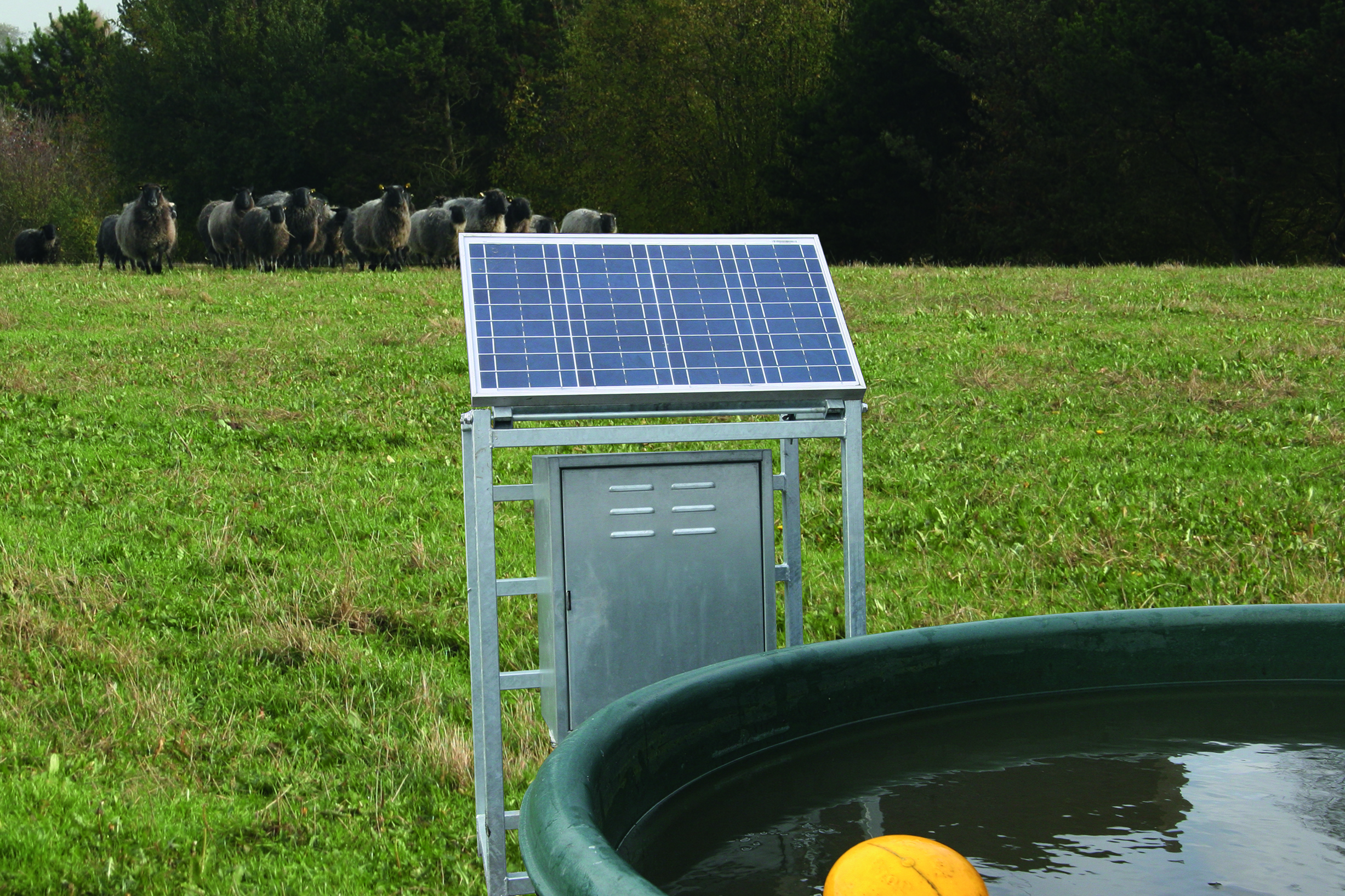 applaus capaciteit Hervat Weidepomp op zonne energie | drinkbak op zonne energie | milieubewust