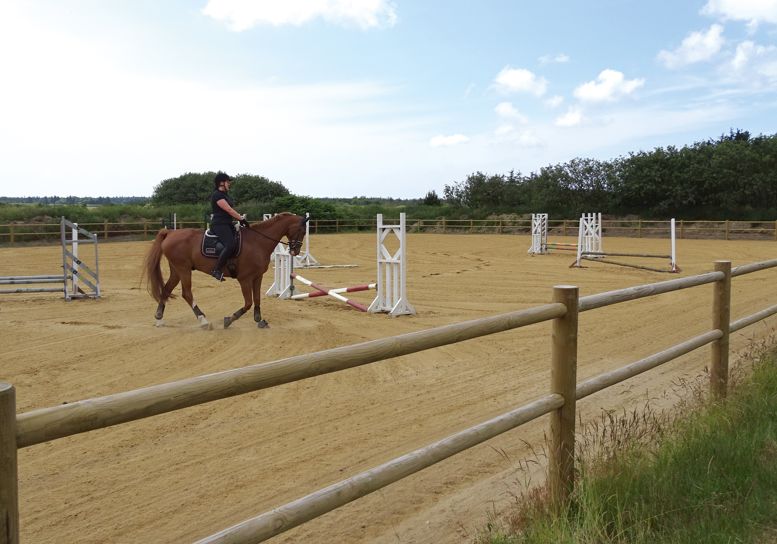 Een vrouwelijke ruiter leidt haar paard rond in een springpiste. De arena wordt begrensd door een houten paardenhek.