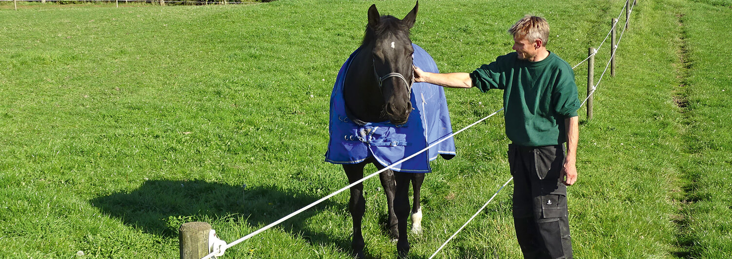 Een man staat en klopt een paard over het elektrische hek naar de weide van het paard.