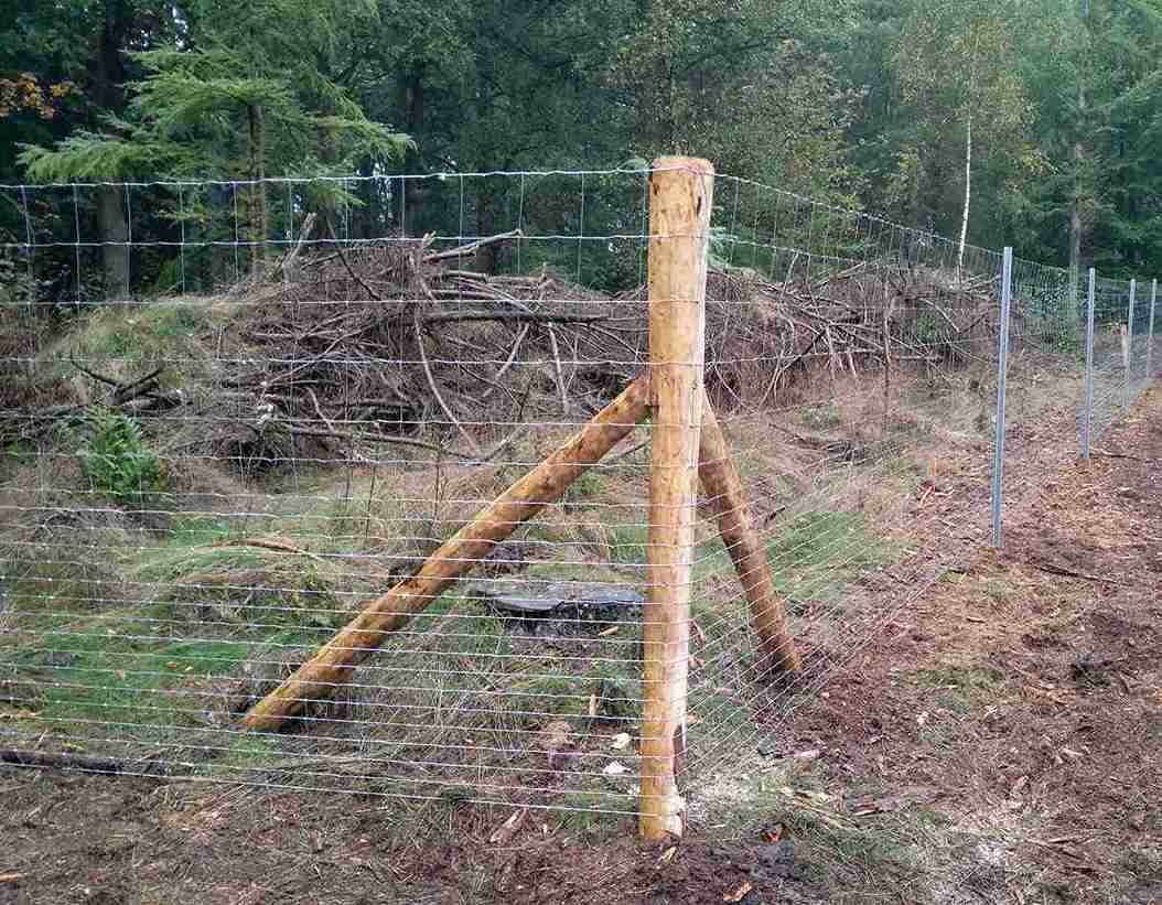 De hoek van een bosomheining met een houten paal. Gemaakt van gaashekwerk.