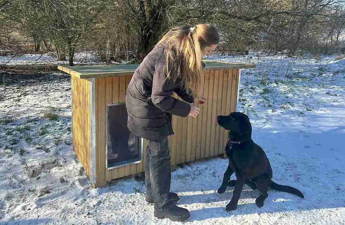 Vrouw geeft een zwarte hond een traktatie voor een hondenhok in een winterlandschap met sneeuw op de grond.