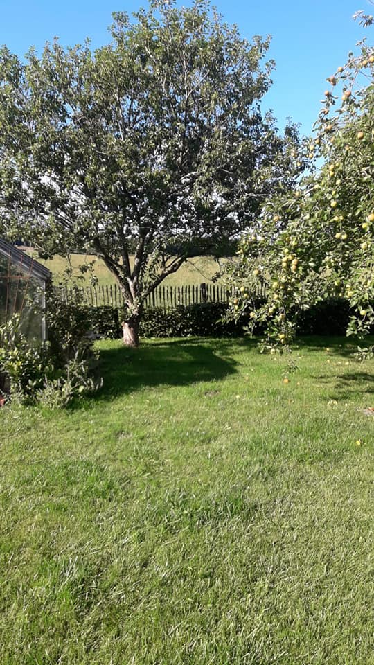 Tuin met bomen en een Poda kastanje hek op de achtergrond.