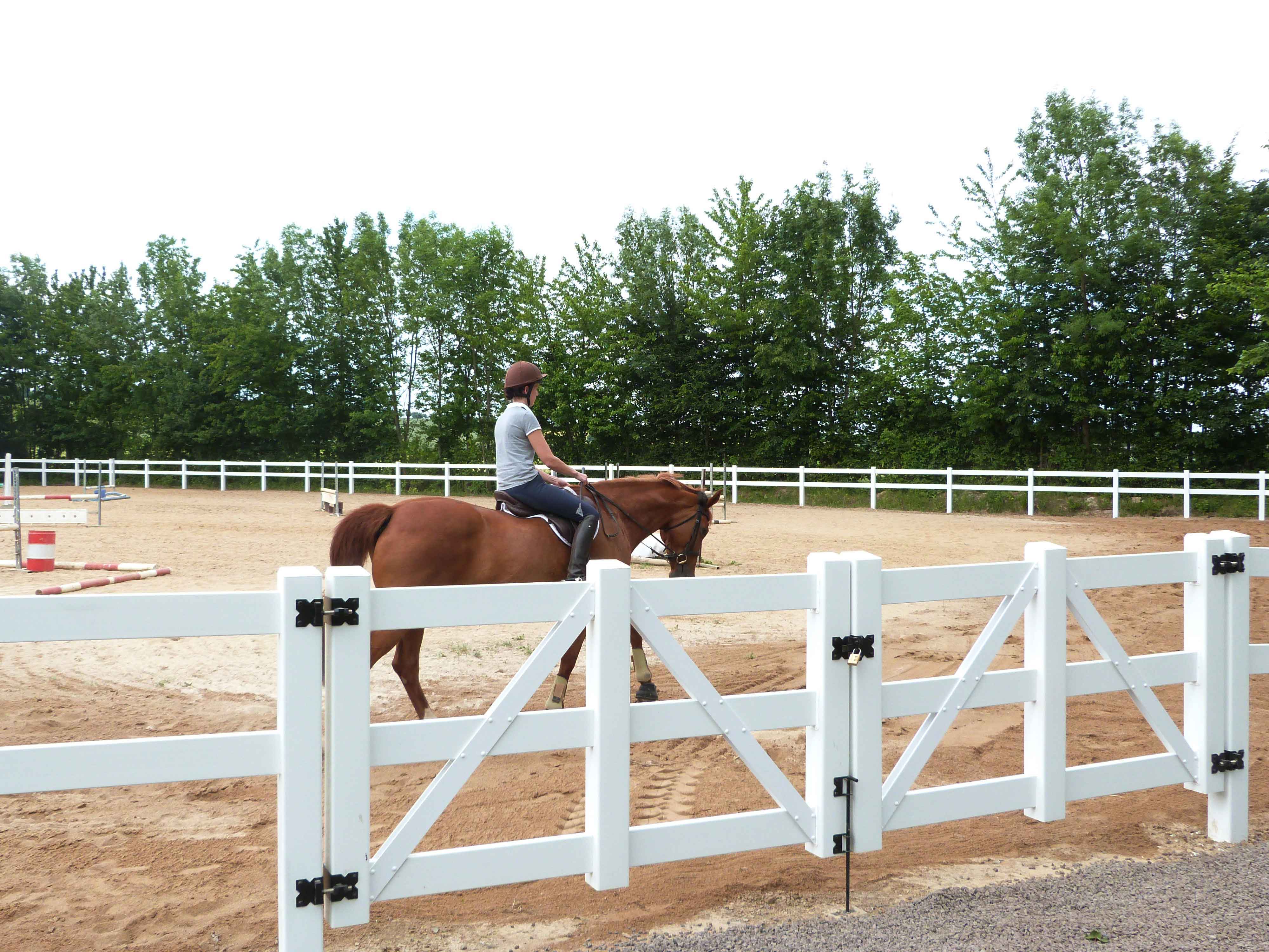 Een vrouwelijke ruiter leidt haar paard rond in een springpiste. De arena wordt begrensd door een wit plastic paardenhek.
