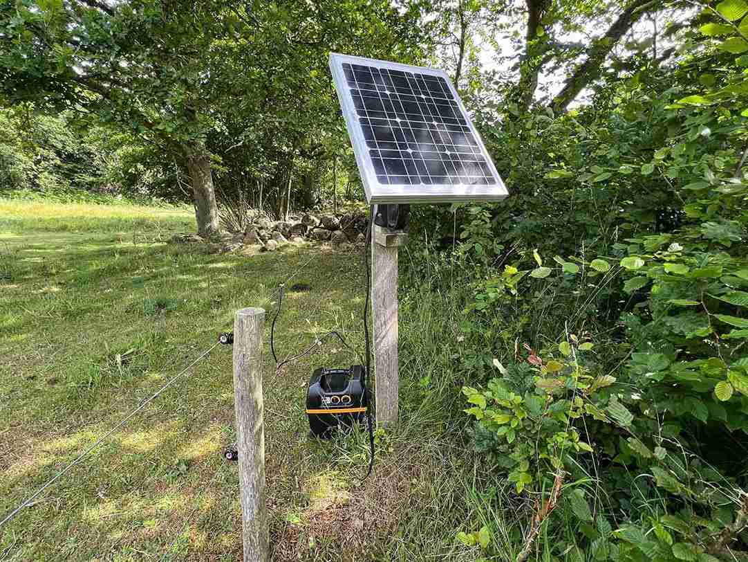 Een zonnepaneel aangesloten op een schrikdraadapparaat aan de bosrand, gemonteerd op een paal naast een elektrisch hek in een groene omgeving.