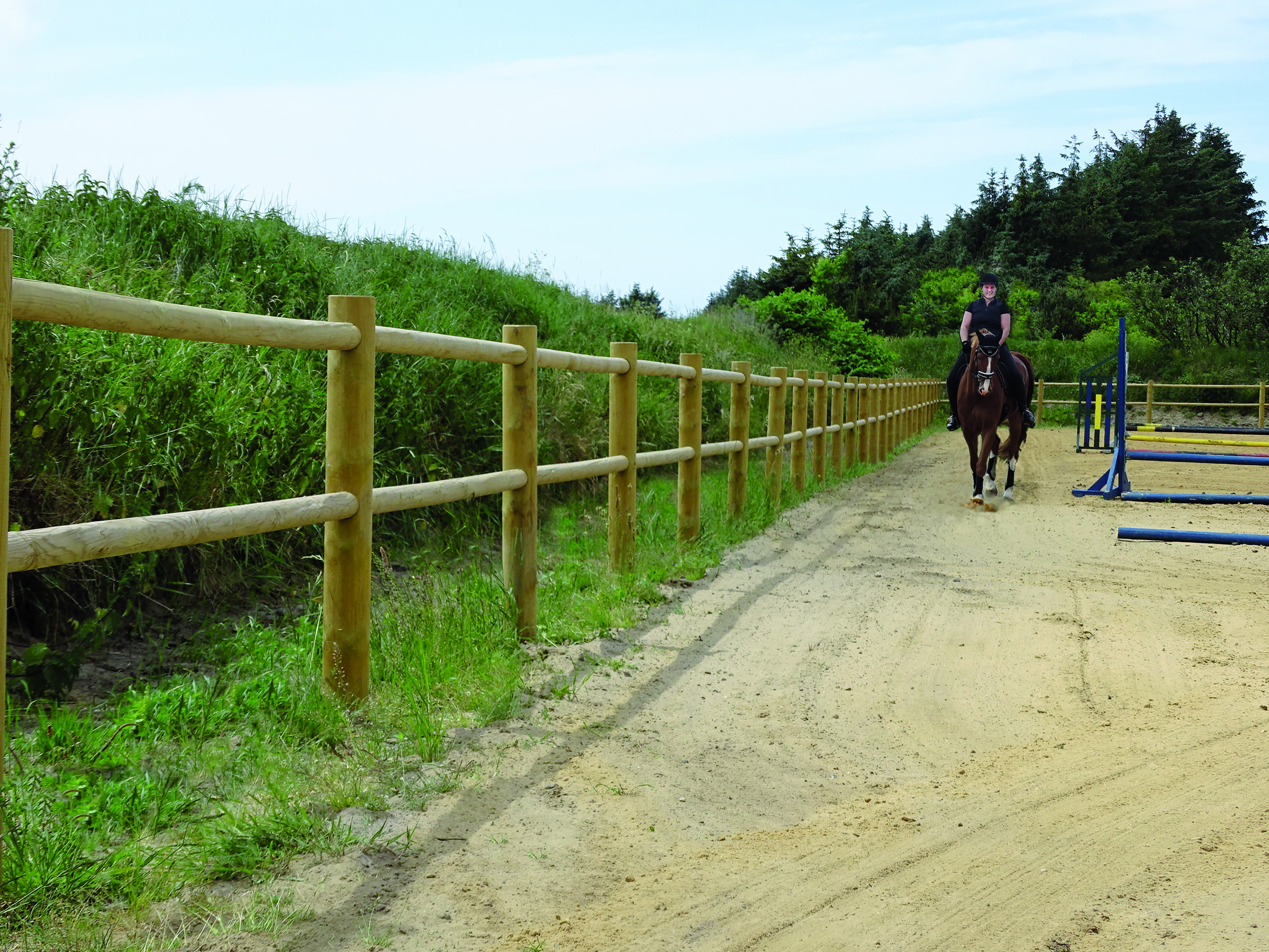 Een vrouwelijke ruiter leidt haar paard rond in een springpiste. De arena wordt begrensd door een houten hek.