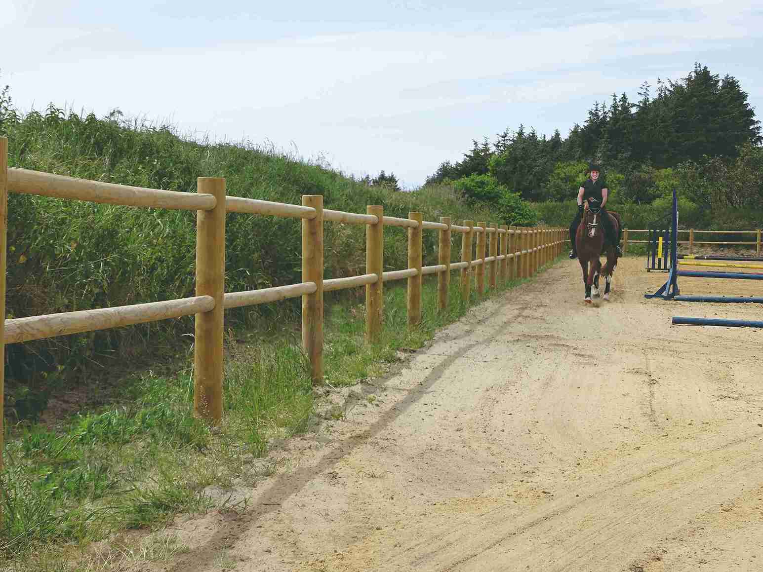 Een vrouwelijke ruiter leidt haar paard rond in een springpiste. De arena wordt begrensd door een houten hek.