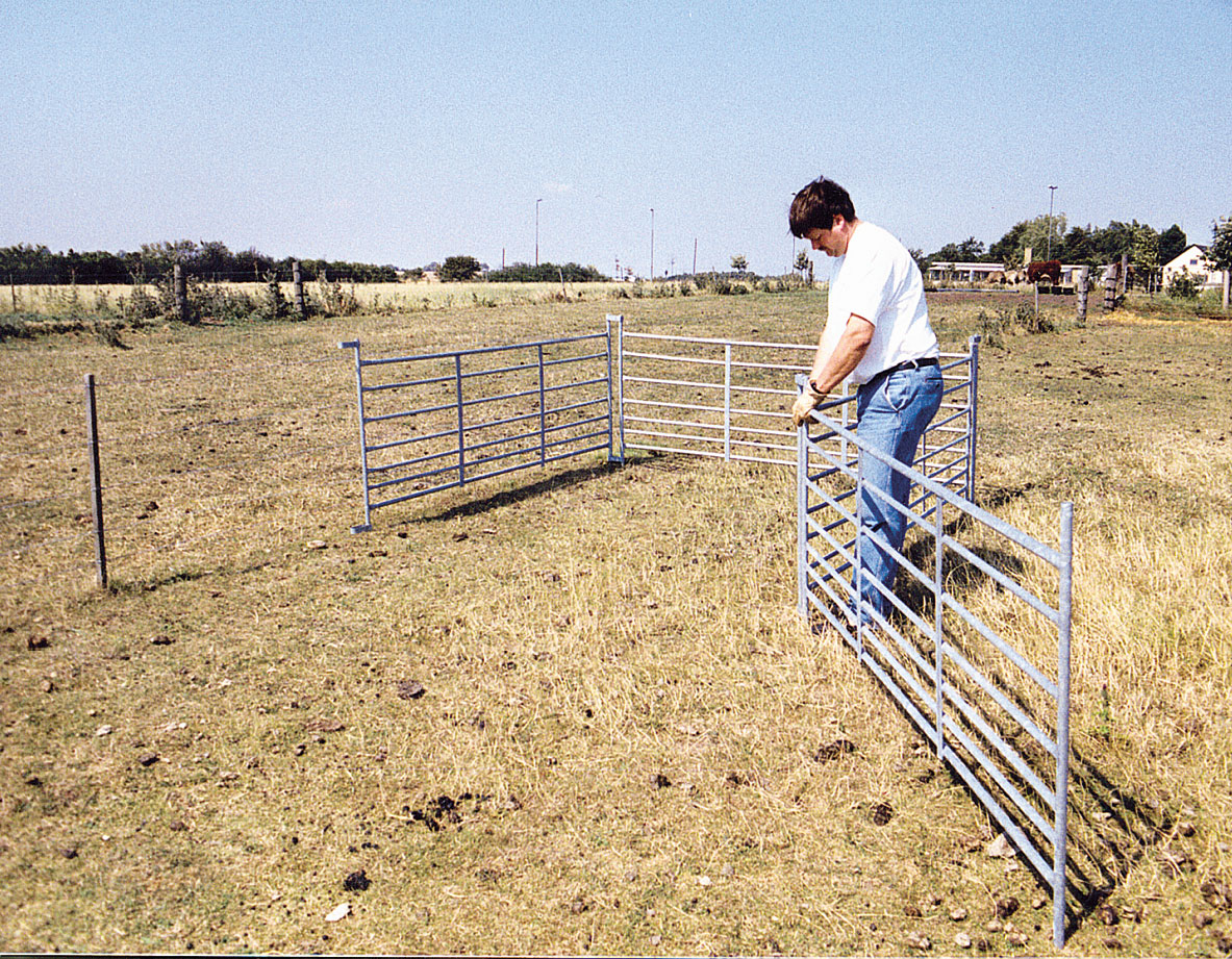 Schapen hek afrastering voor