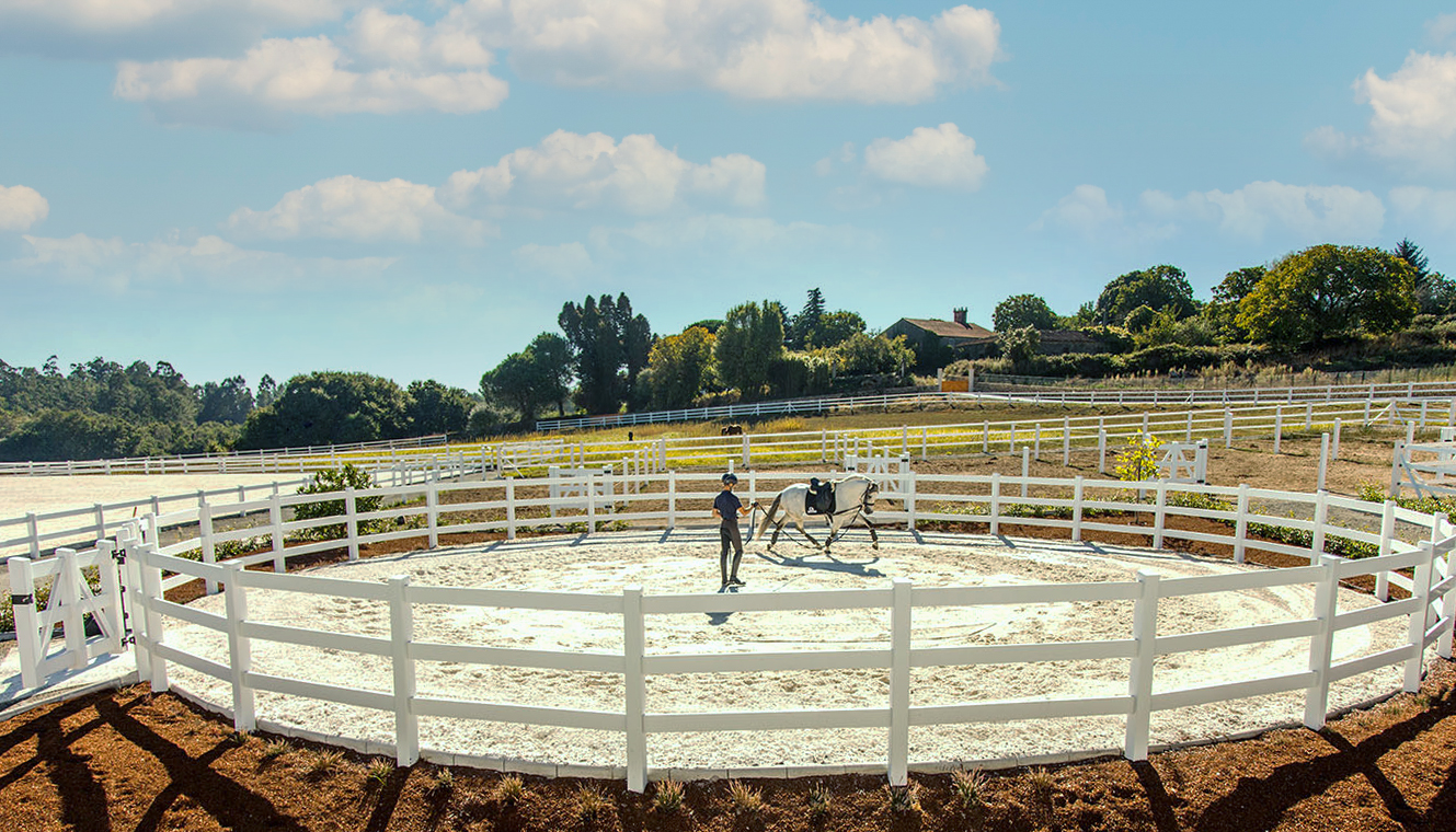 Een paardentrainer leidt een wit paard rond in een roundpen. Het ronde hok bestaat uit een wit plastic paardenhek.