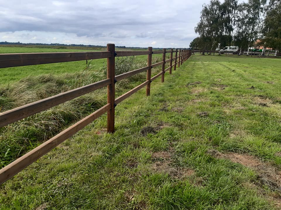 Een 3-rail hek scheidt een paddock van een veld.