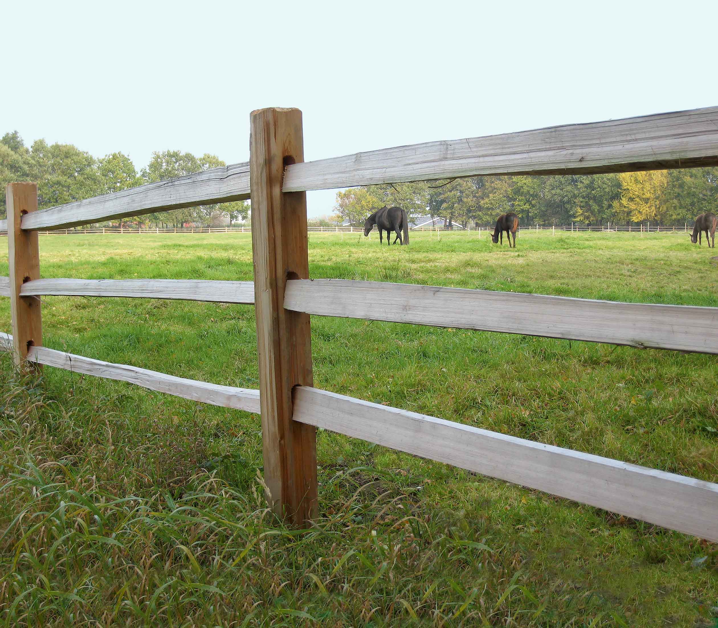 zweer Tranen speelplaats Poda Omheiningen I Houten hekwerk | paarden omheining en natuurlijke  afrastering