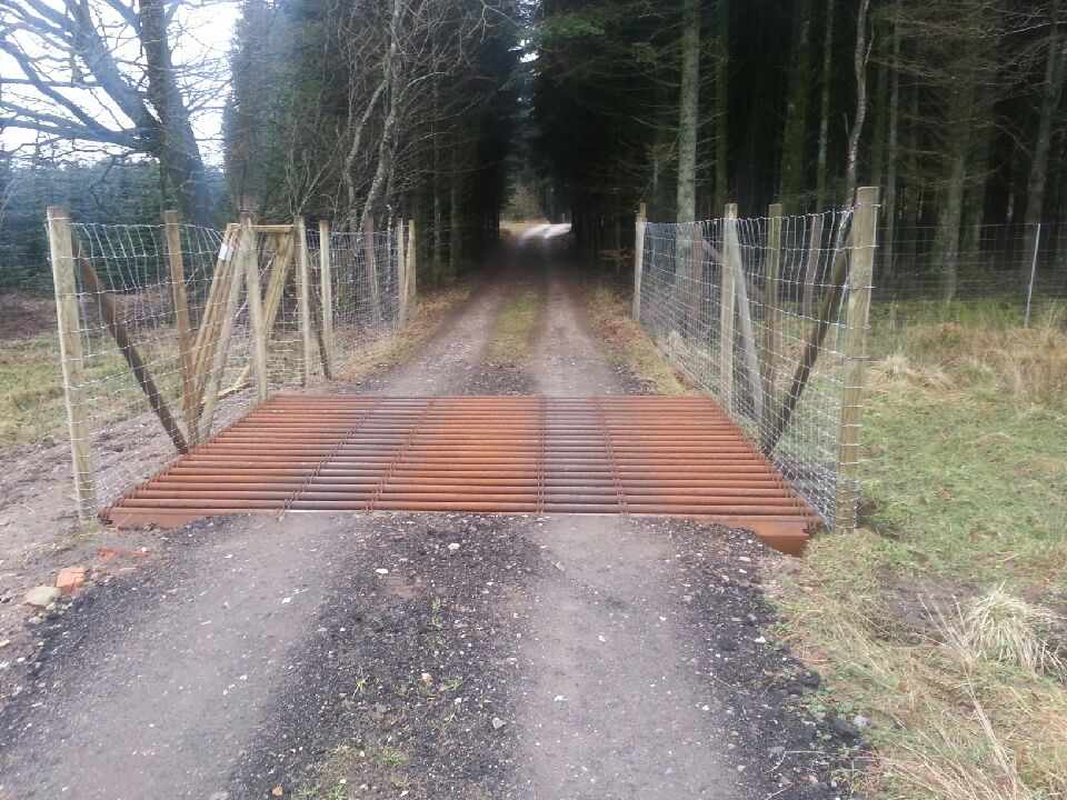 Een veerooster bij de ingang van een bos