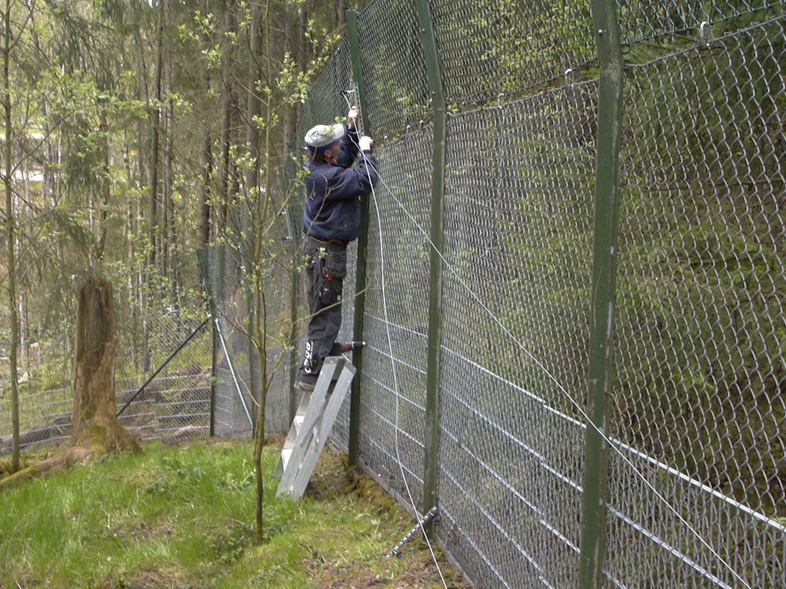 Een man installeert elektrische draden bovenop een hoog hek in een dierentuin.