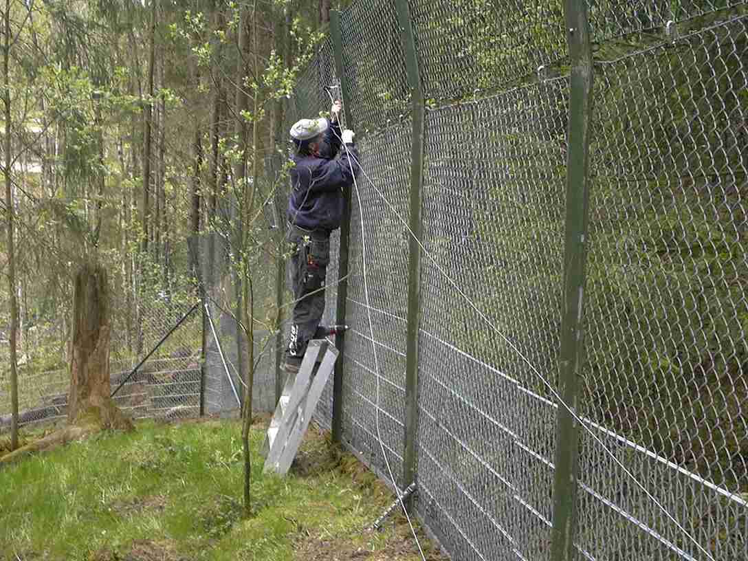 Een man installeert elektrische draden bovenop een hoog hek in een dierentuin.