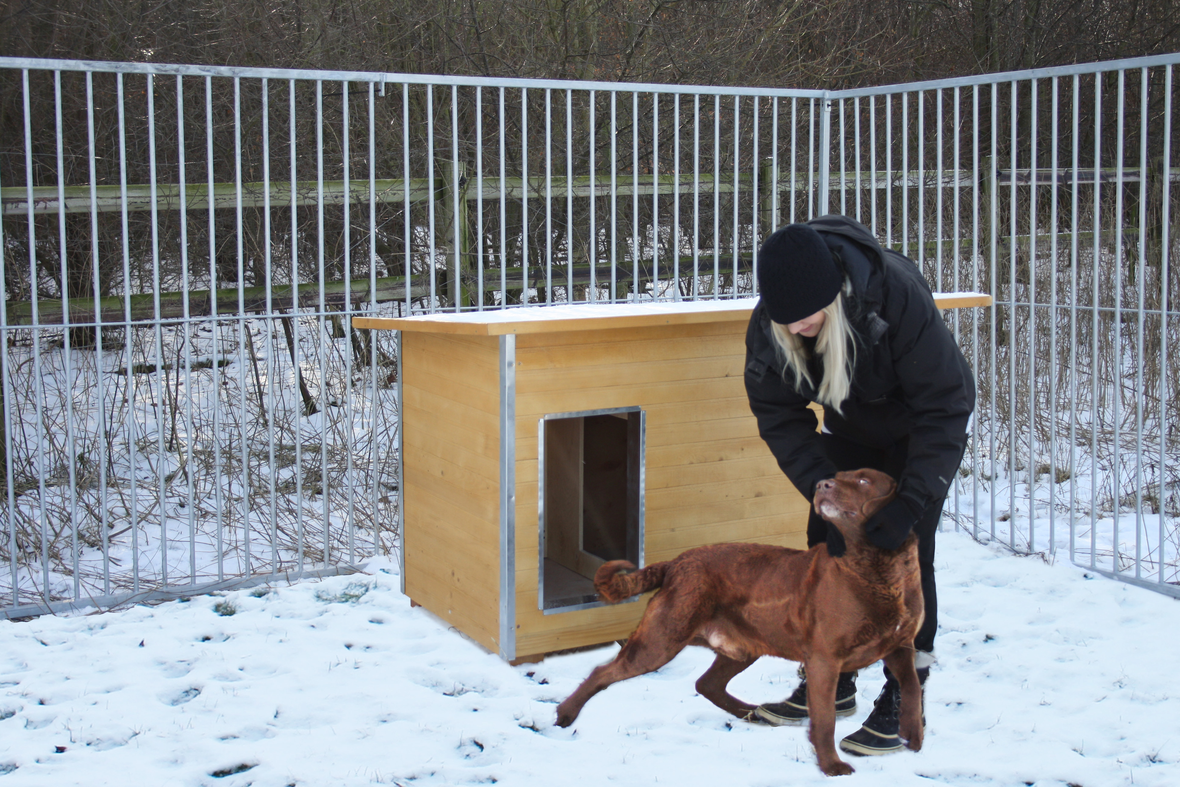 Een vrouw aait een hond in een besneeuwd hondenhok. Achter hen staat een houten hondenhok.