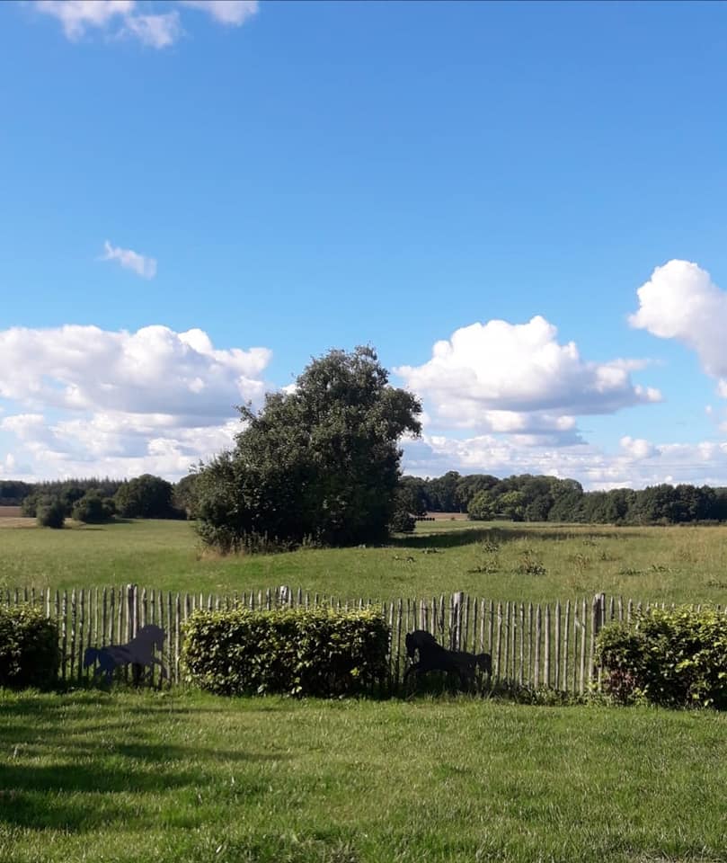 Een Poda kastanje hek scheidt een tuin van een natuurgebied