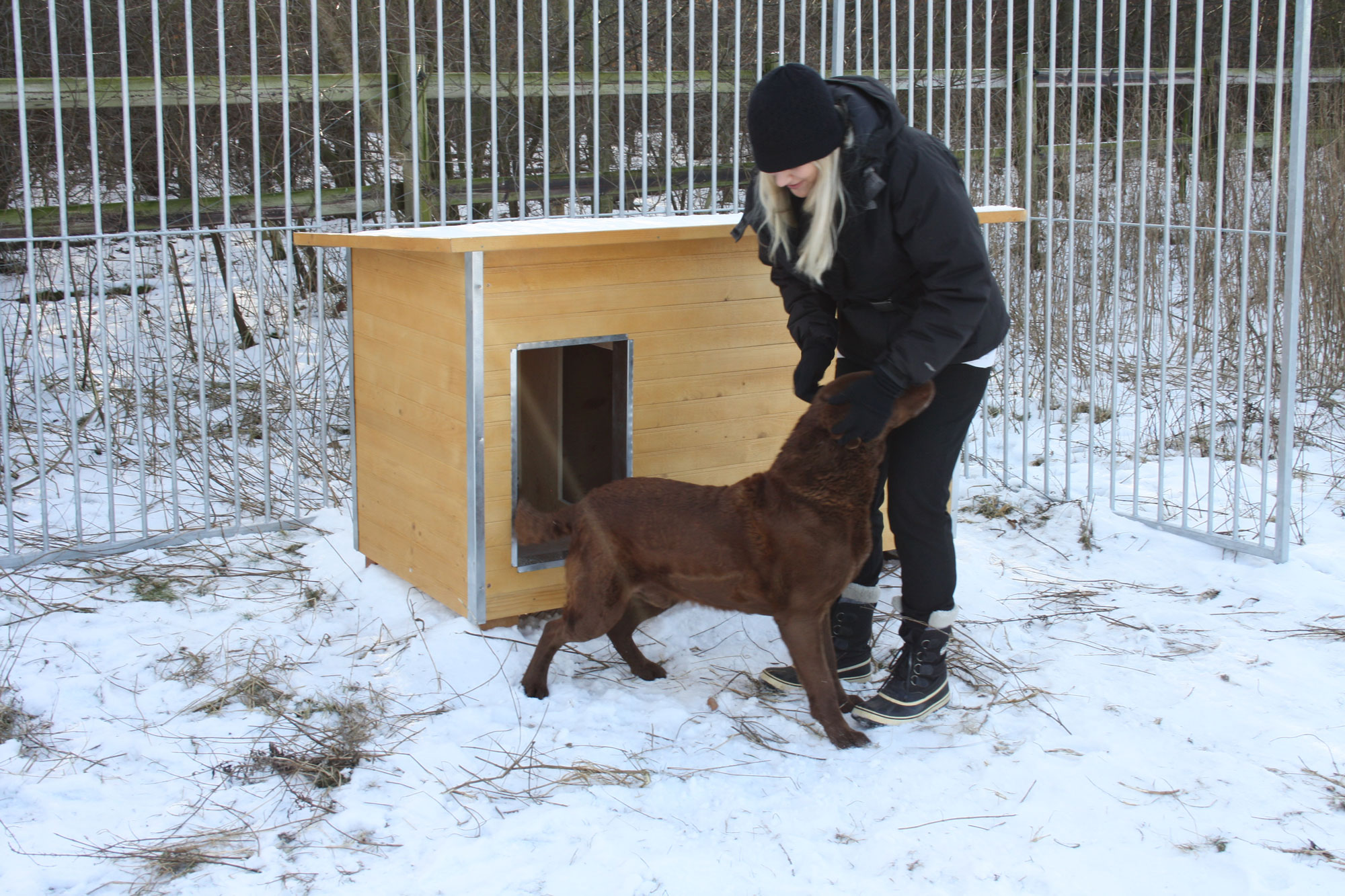 Een vrouw aait een Labrador in een besneeuwd hondenhok. Achter hen staat een houten hondenhok.