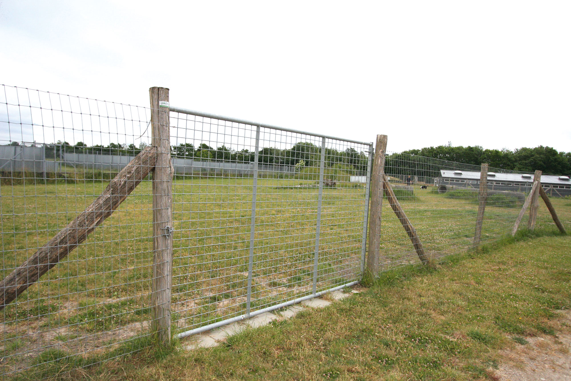 Een hoge stalen poort geeft toegang tot een hondenren.