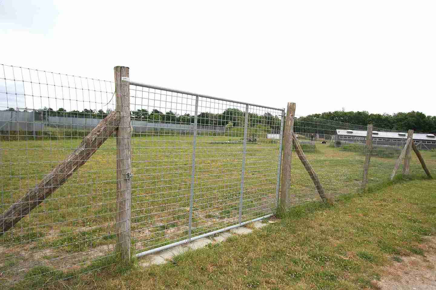 Een hoge stalen poort geeft toegang tot een hondenren.