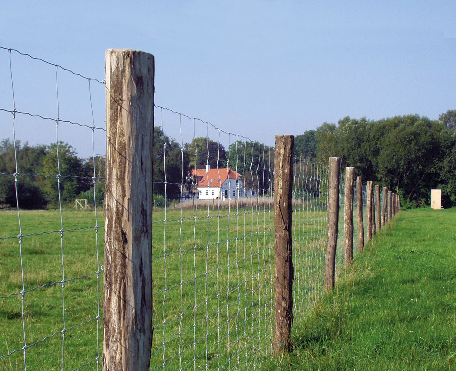 Een bosomheining beveiligt een bosgebied tegen wilde dieren en indringers.