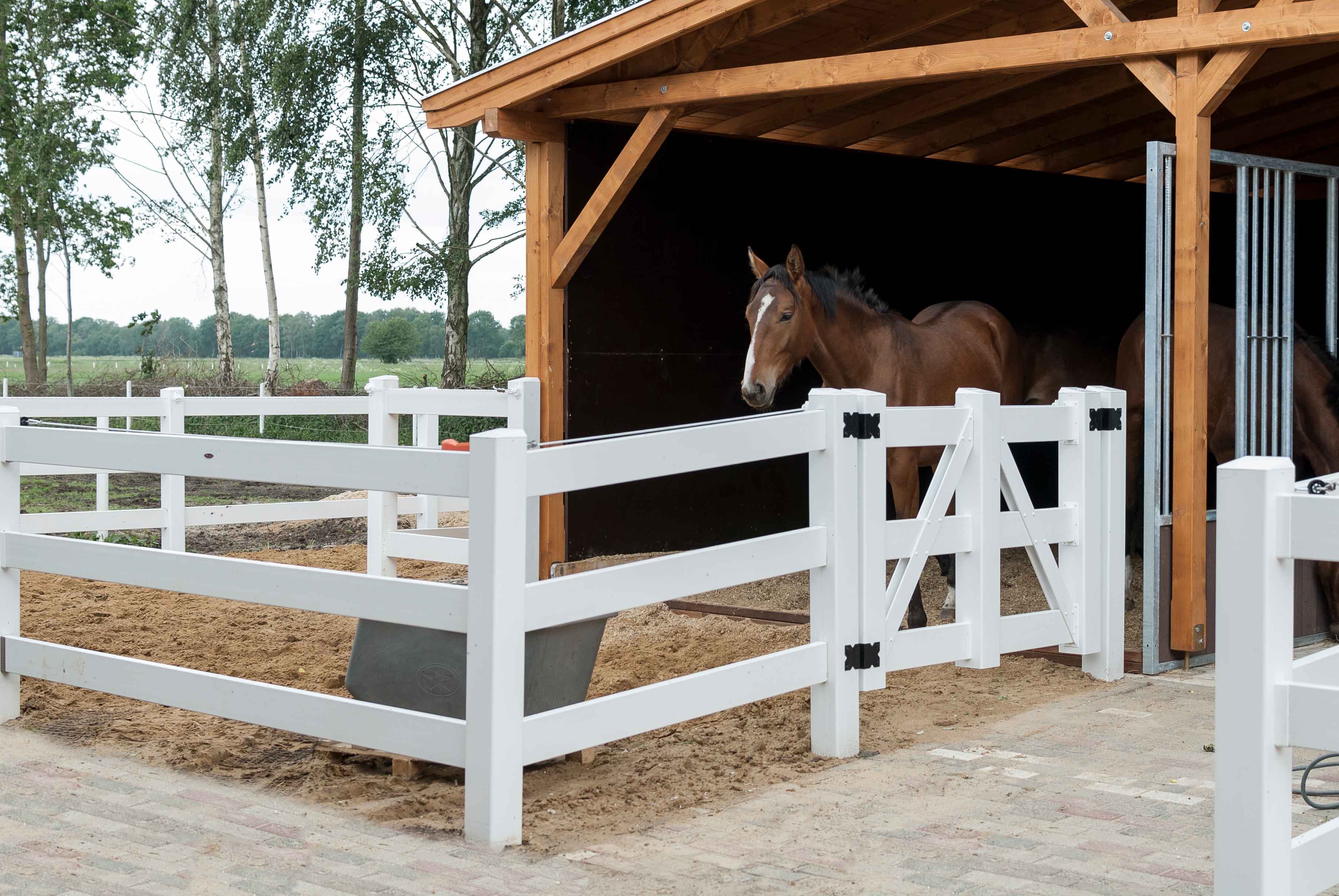 Een bruin paard staat in een schuilhut en kijkt uit op een klein weiland omgeven door een wit paardenhek.