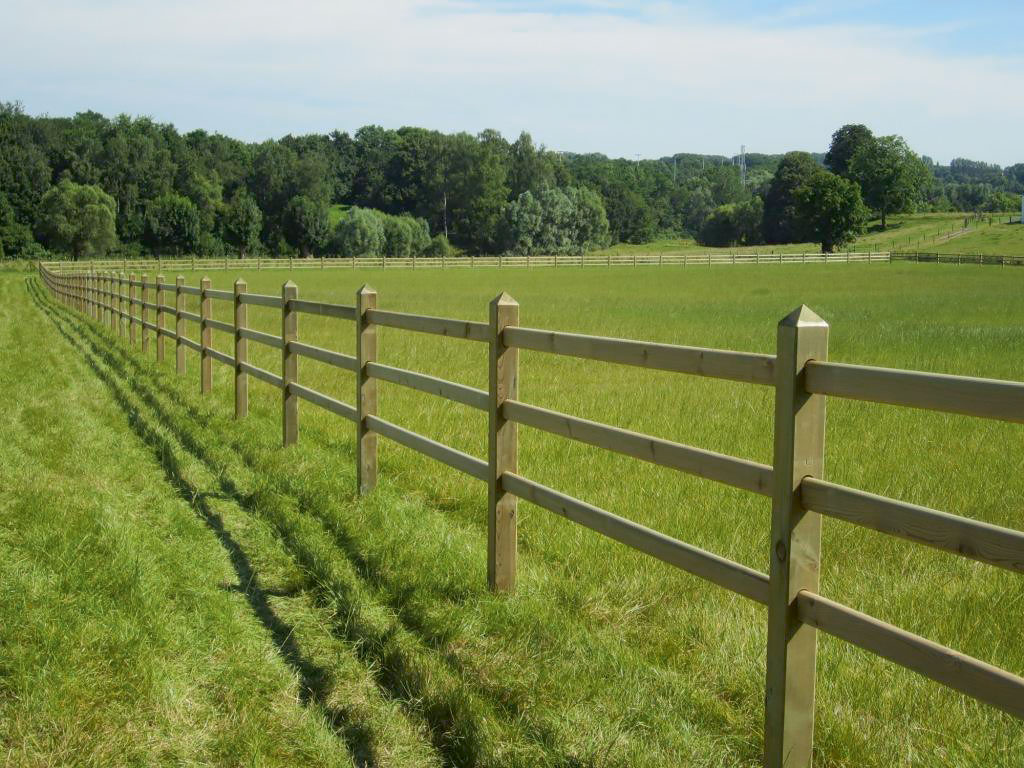 Een paardenomheining omringt een grote paardenweide. Het paardenhek heeft vierkante palen met piramidevormige toppen en geschaafde latten.