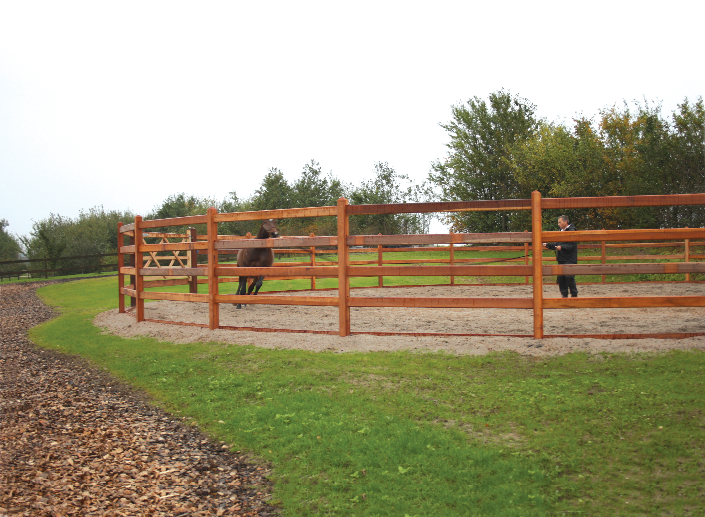 Een bruin paard wordt rondgeleid in een roundpen door een paardentrainer.