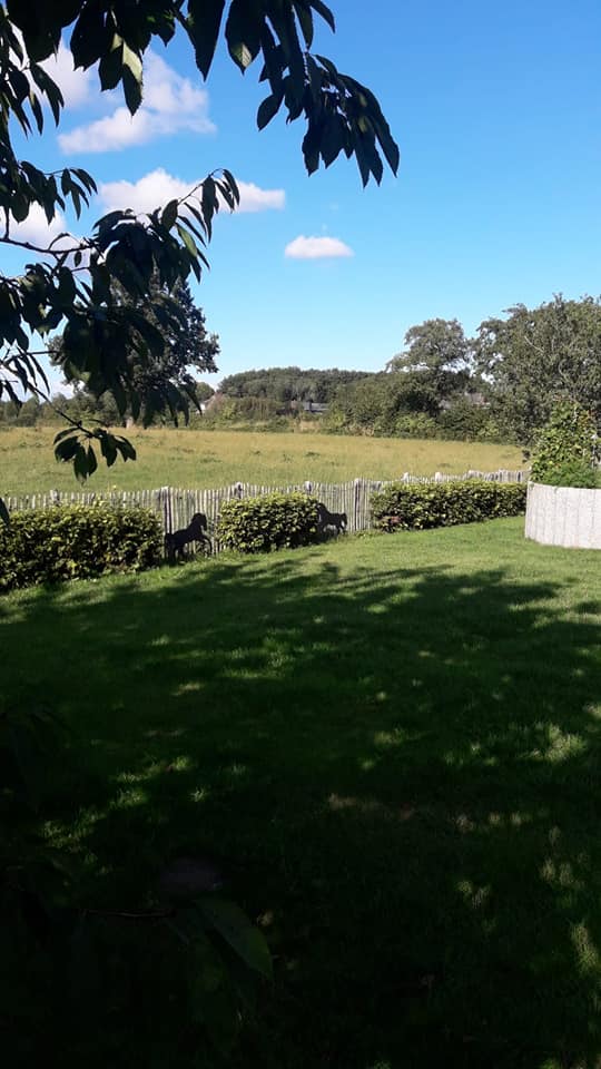 Uitzicht over het platteland vanuit een tuin met op de achtergrond een Poda kastanjehek.