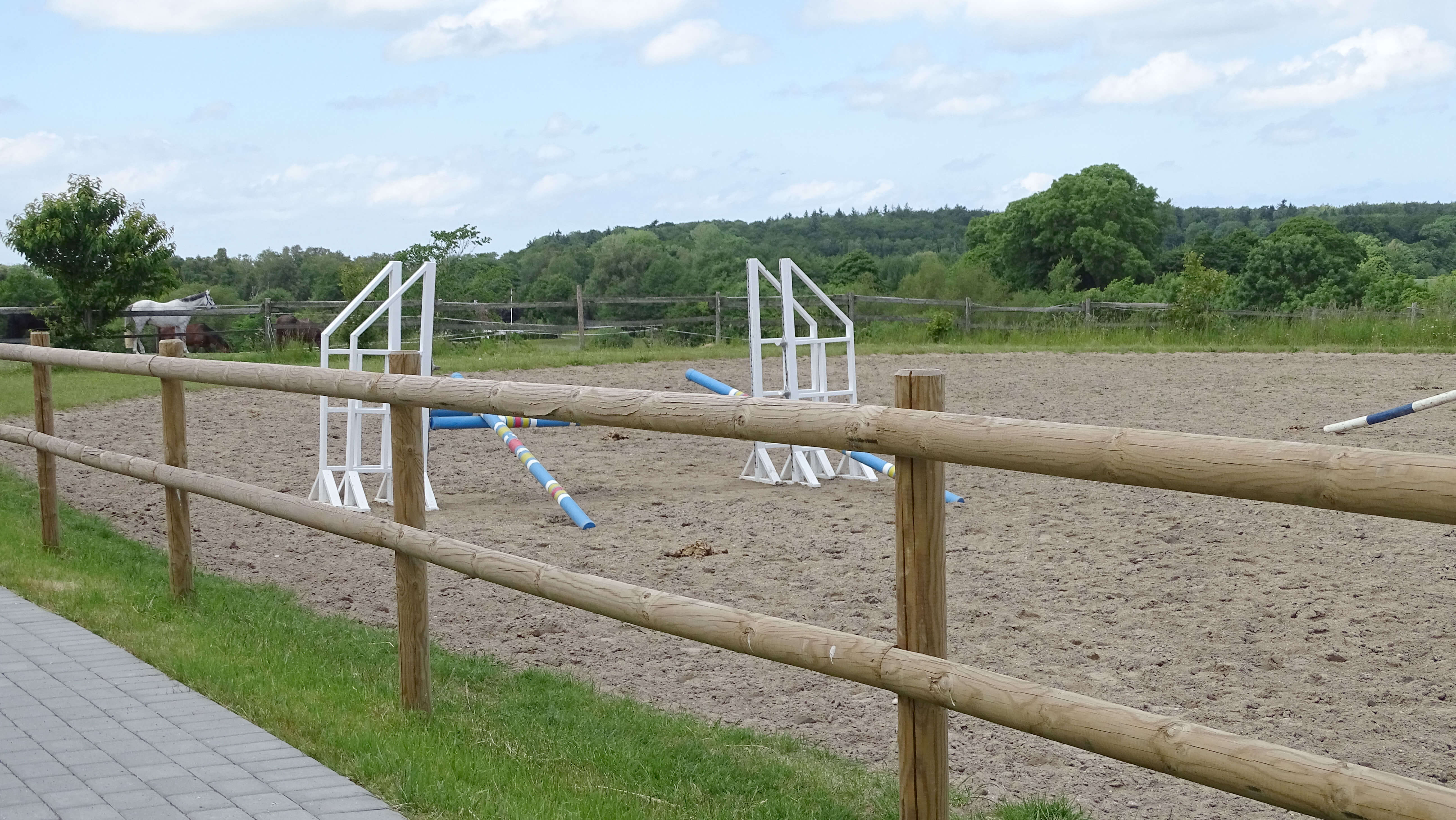 Achter een paardenomheining met half doorgesneden latten is een rijbak met sprongen.