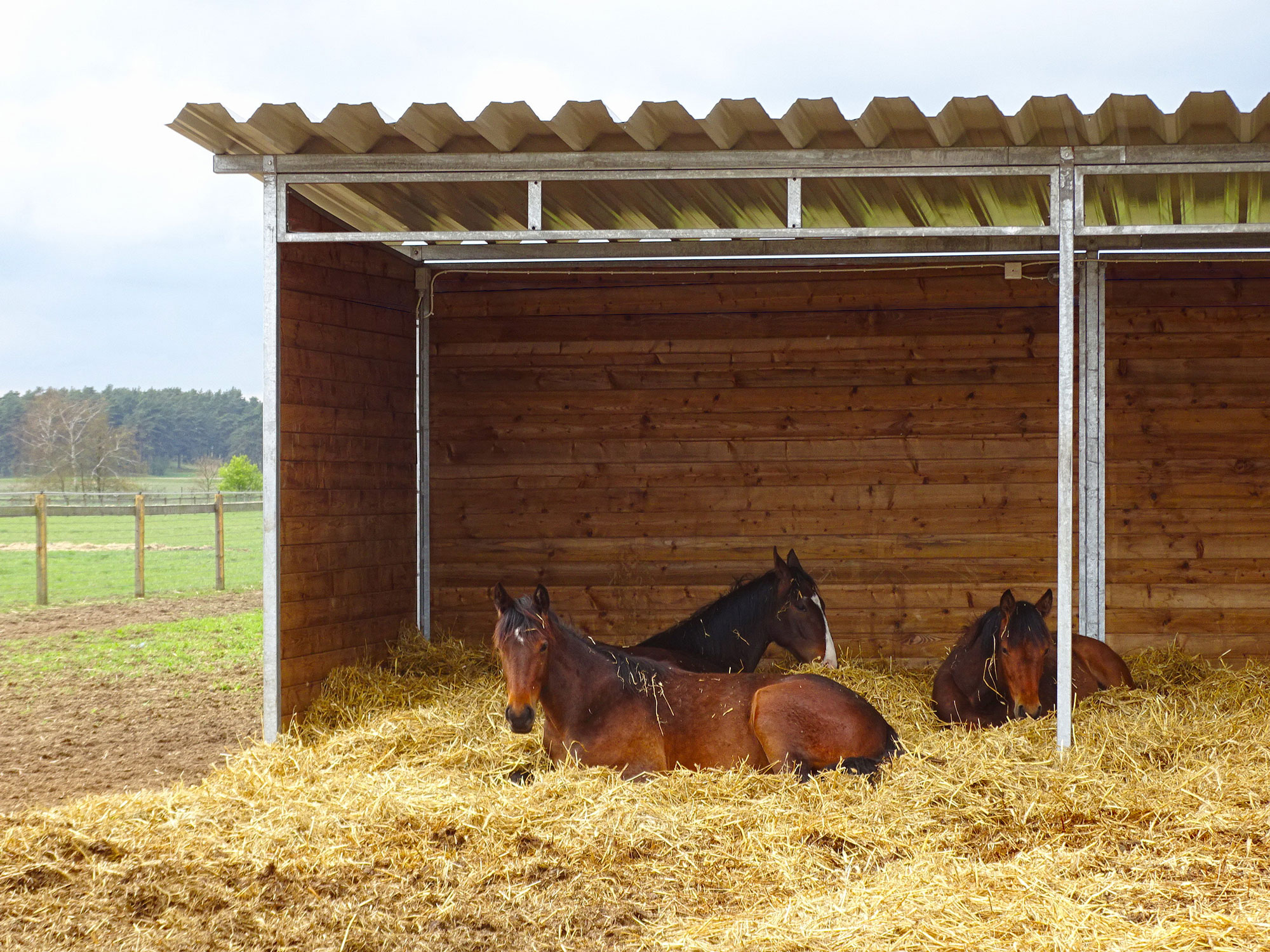 Poda Omheiningen | voor uw paard | comfortabel onderdak